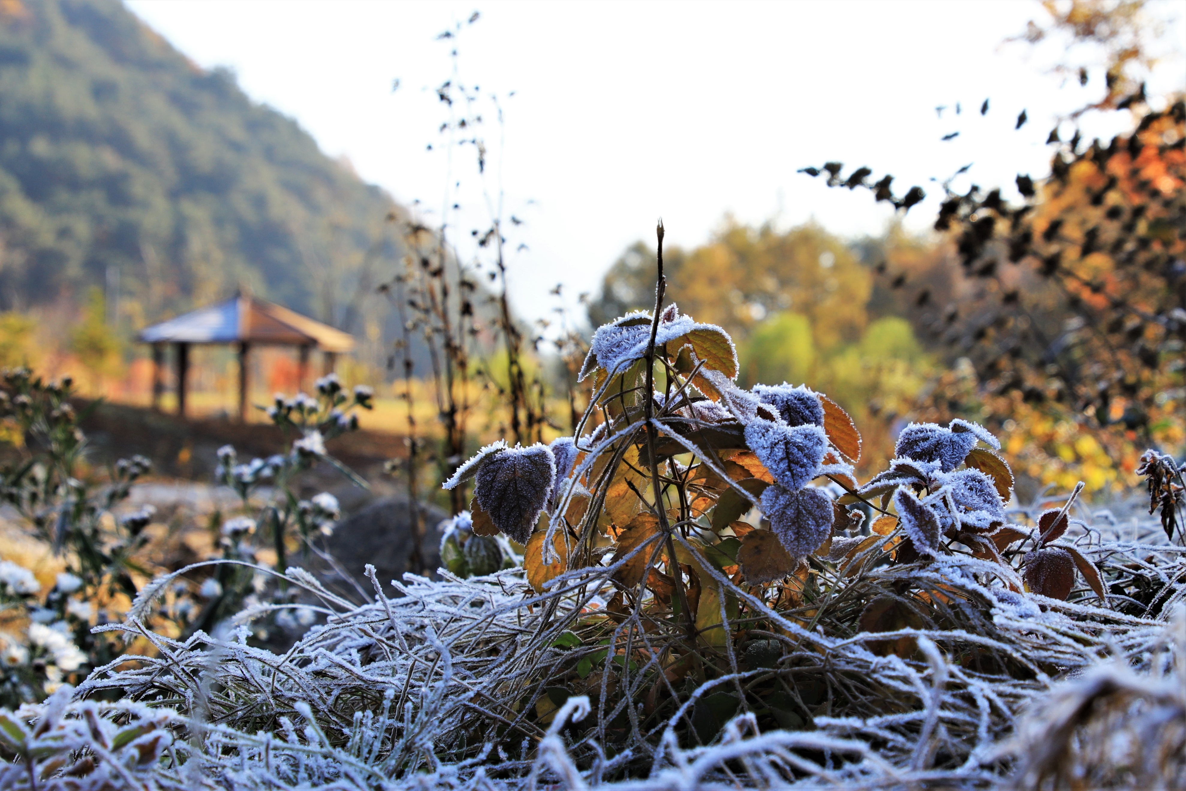 사계원_251114 (2).JPG