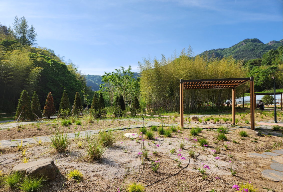 드라이가든 썸네일